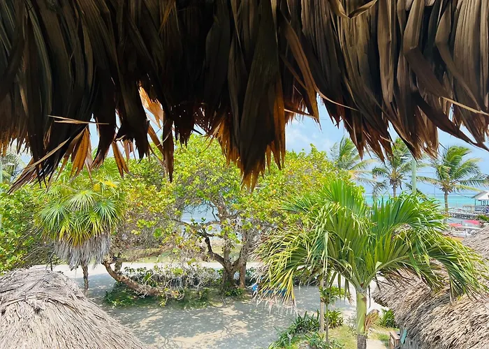 Hotel Del Rio 3*