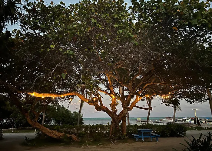 Del Rio San Pedro (Ambergris Caye)