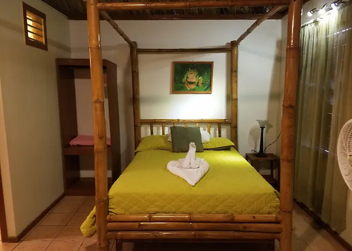 Hotel Del Rio 3*