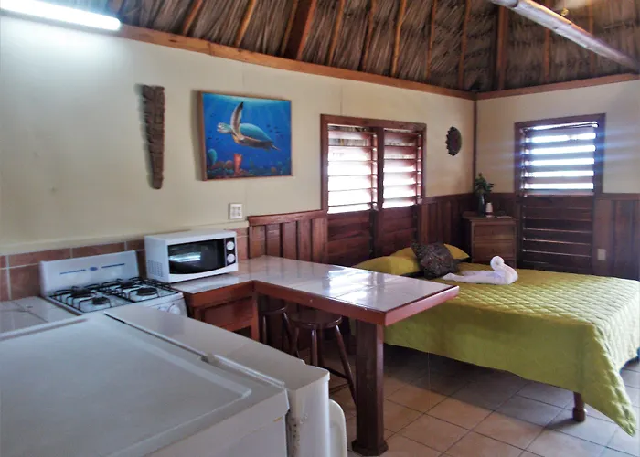 Hotel Del Rio 3*